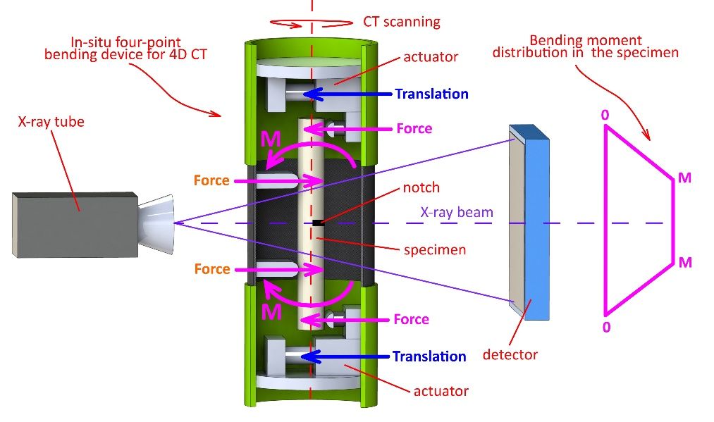 Laboratoř biomechaniky