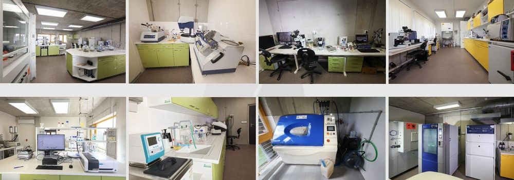 Lab2.jpg